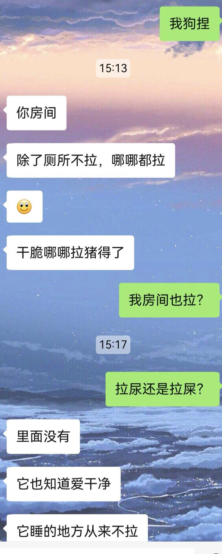 今日小狗分享