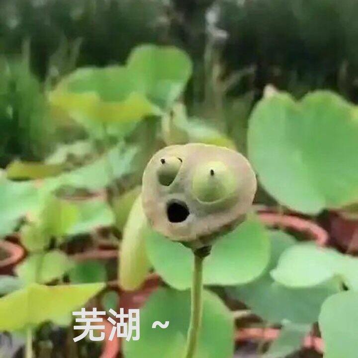 儿童节快乐呀
