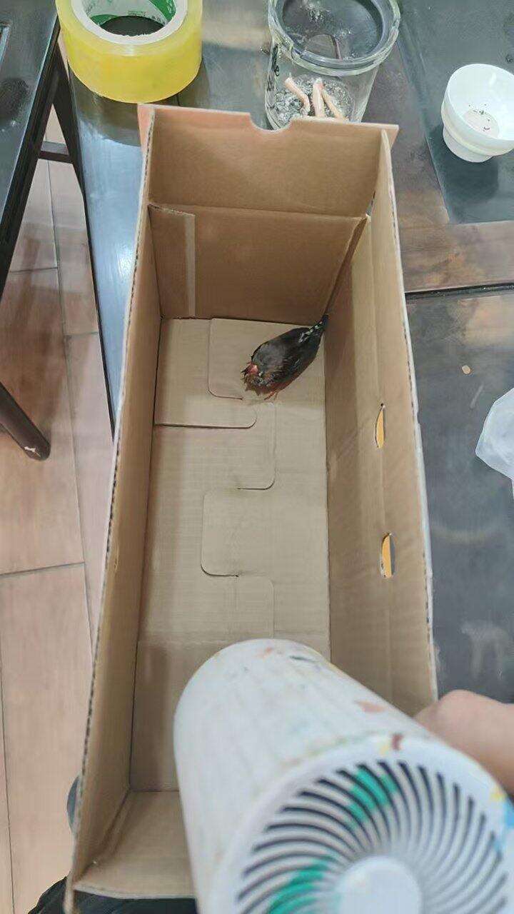 我是不是说过我们家人很善于捡动物