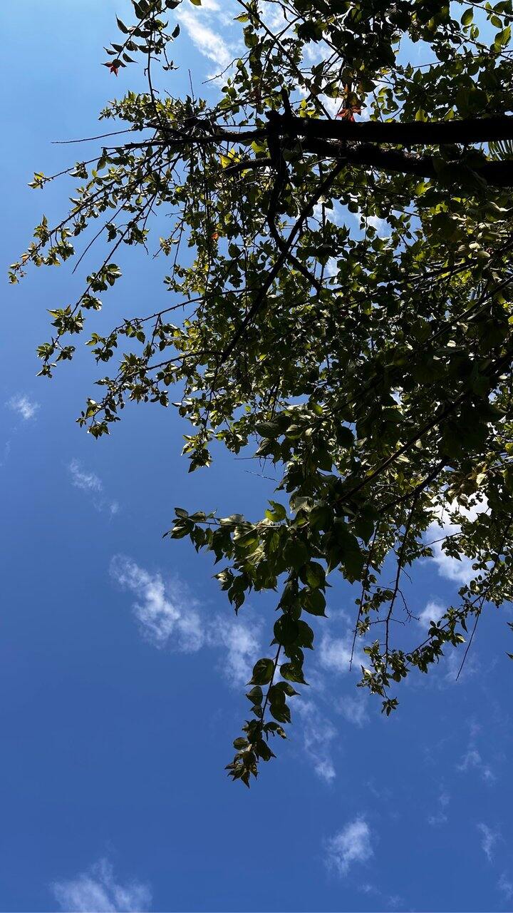 晒晒太阳，应该能好眠