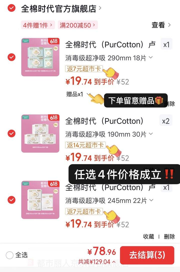 奈丝公主