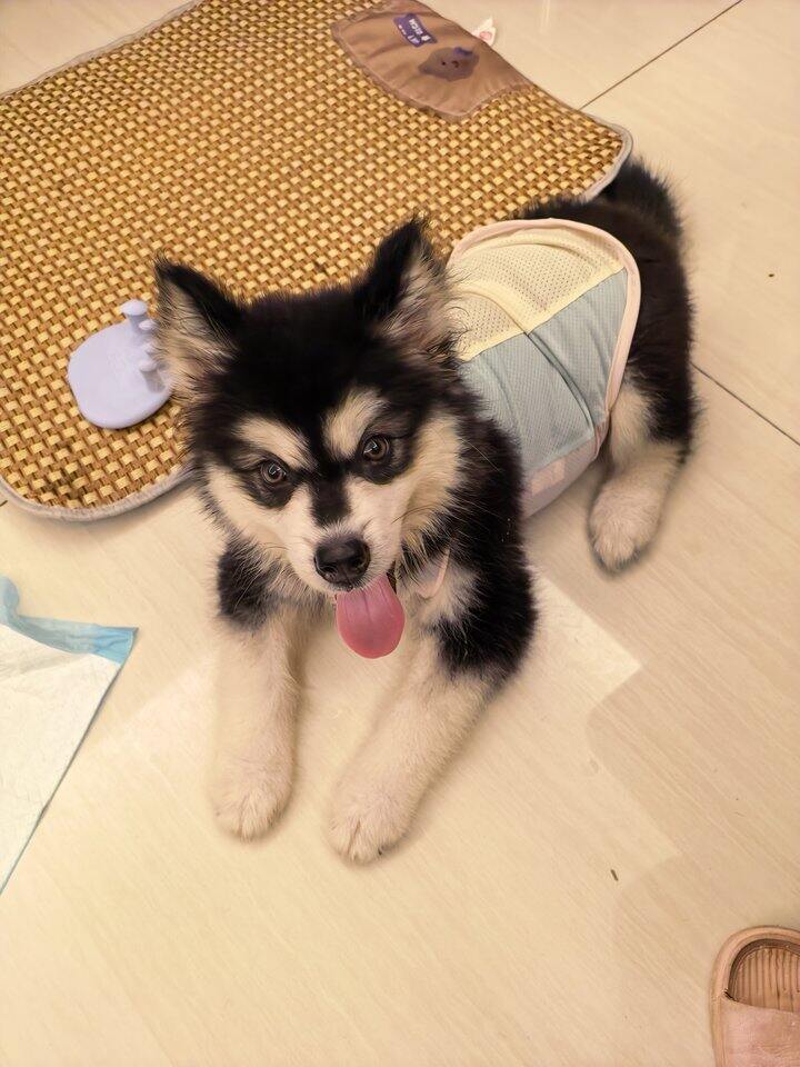 青瓜有新衣服了