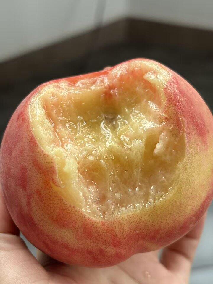 水蜜桃