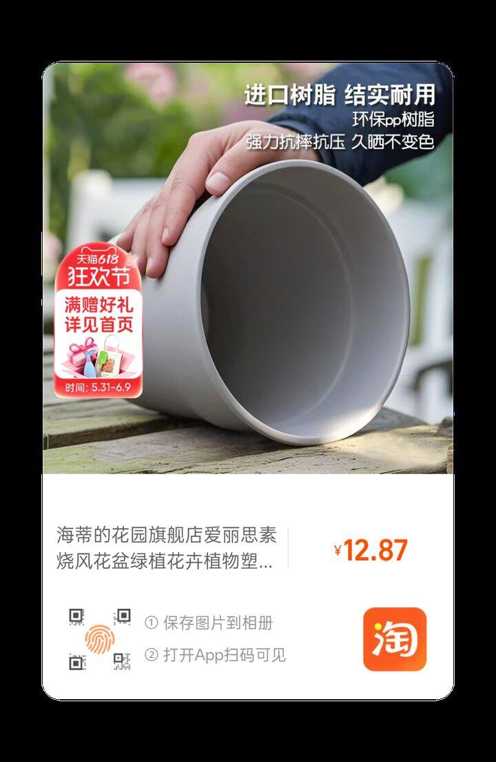 19块钱10个的爱丽丝花盆