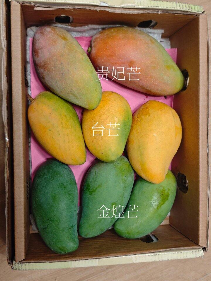 一个芒果晒单