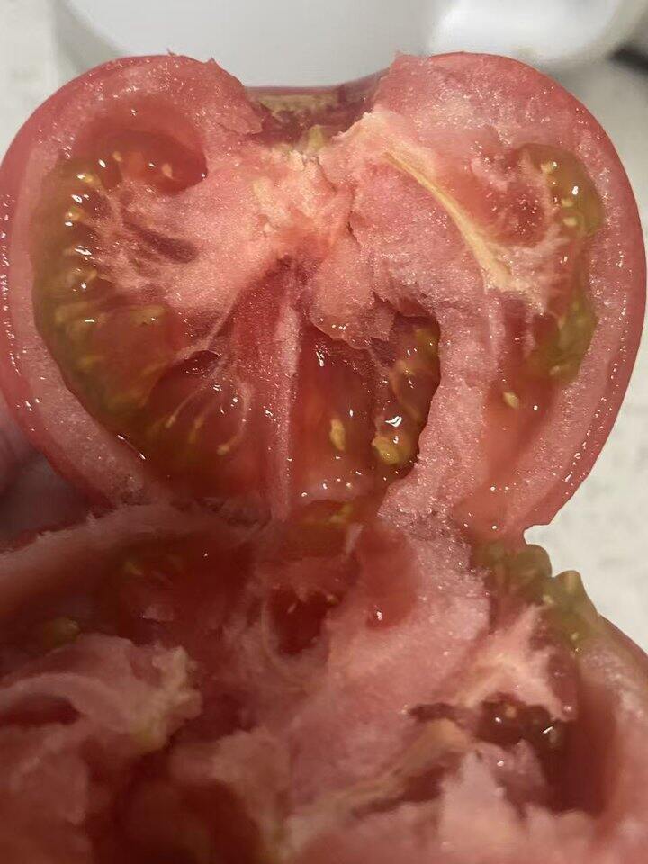 西红柿