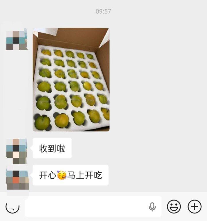 蜂糖李第一个反馈来啦