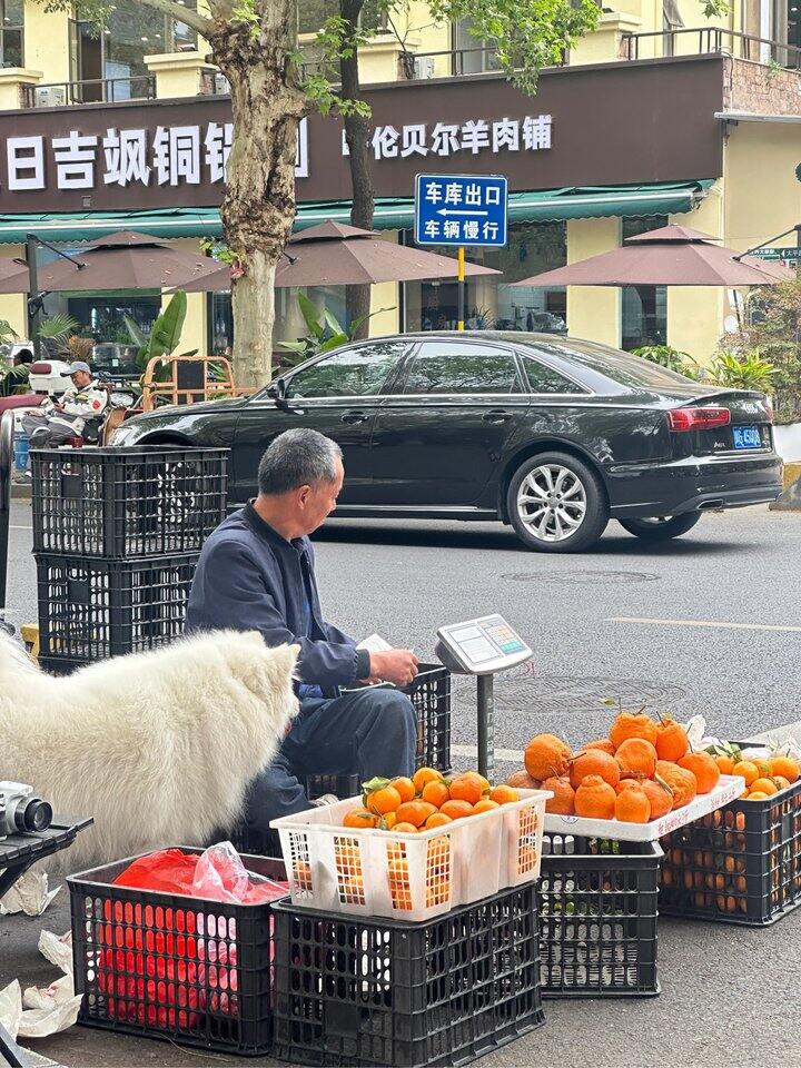 现在大家都在哪个平台抄作业啊