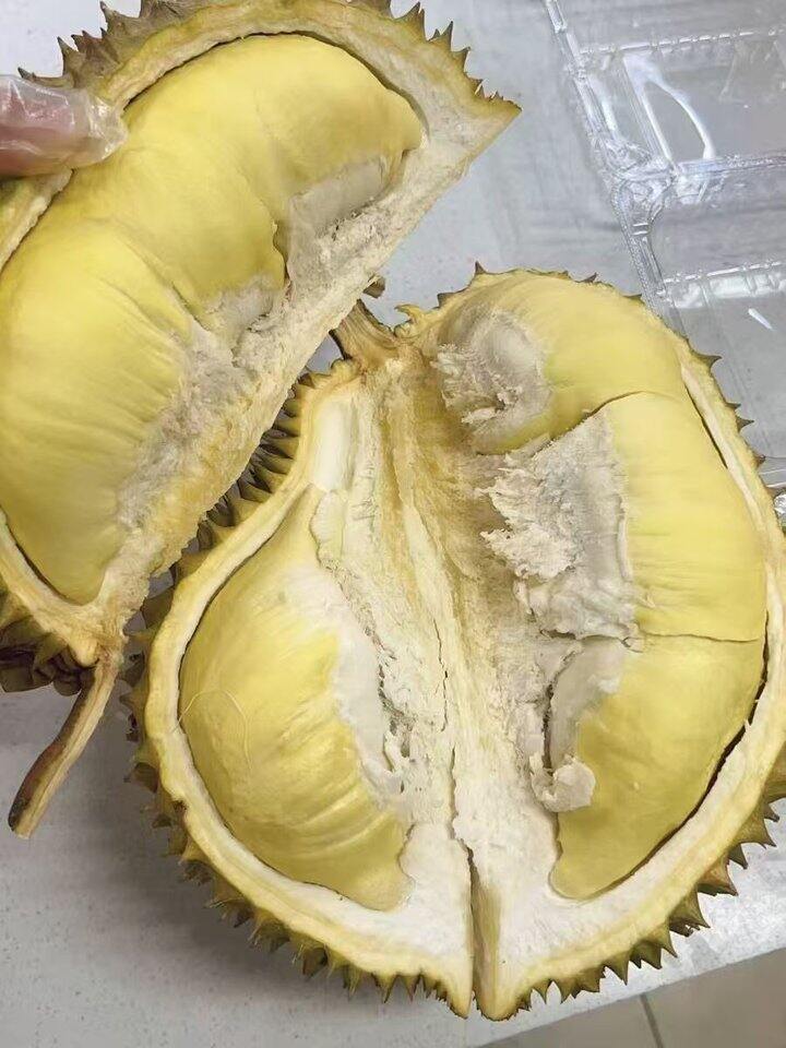 自营 金枕榴莲