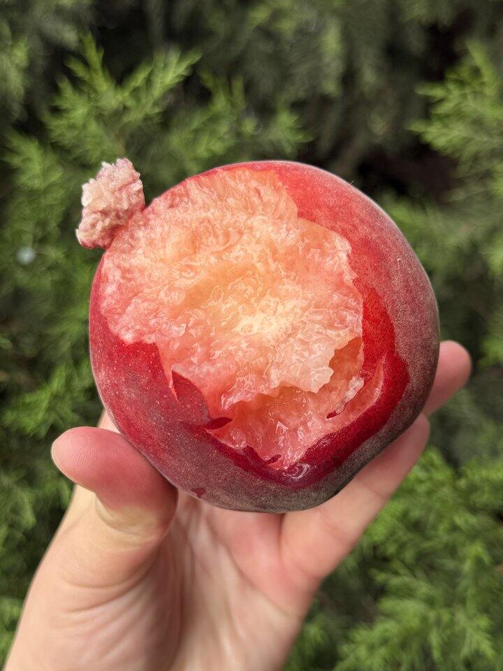 【红太阳水蜜桃】限时抢购29.9元/箱