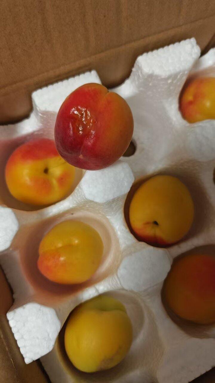 唐王御杏