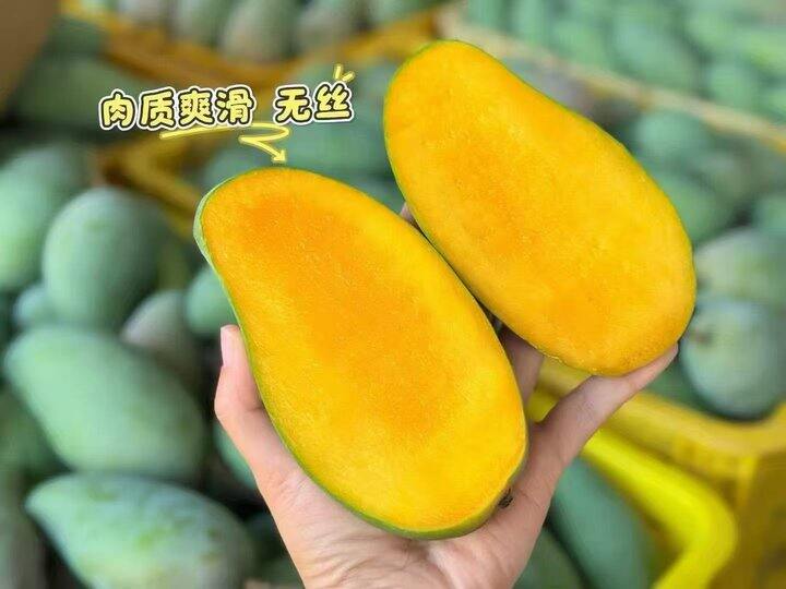 【甜心芒】唯一一款可以生吃熟吃清甜的芒果3斤到手18.8元