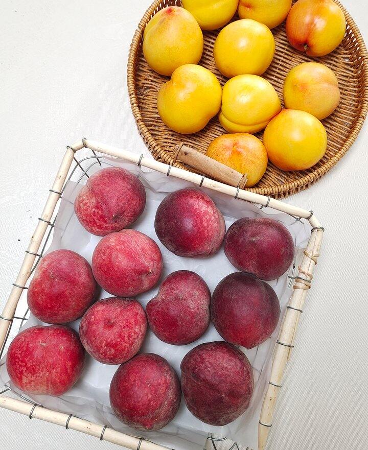 水蜜桃
