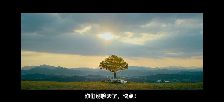 太喜欢铁拳教育！！