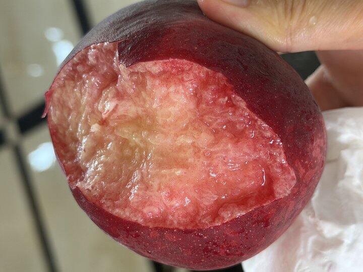 路口的红太阳水蜜桃反馈来了~