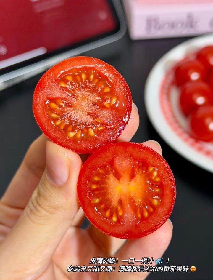 串收樱桃番茄！💰9.9