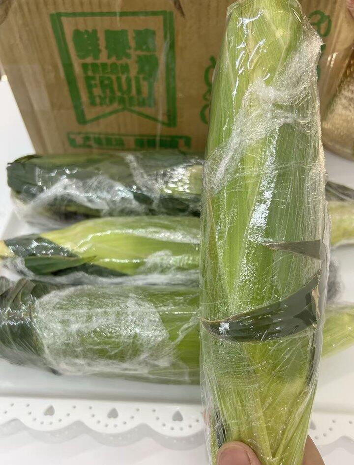 ——水果玉米🚀——