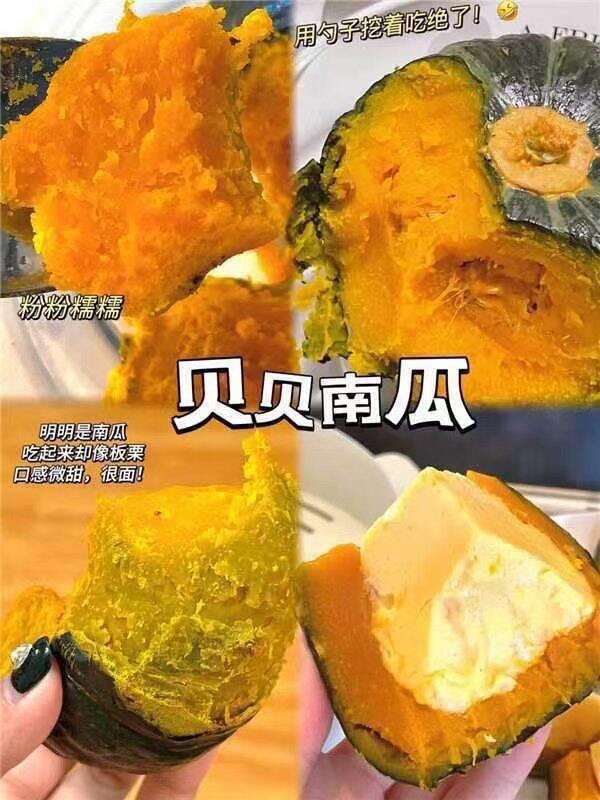19.9💥京鲜生 山东荷兰水果黄瓜➕板栗南瓜共9斤