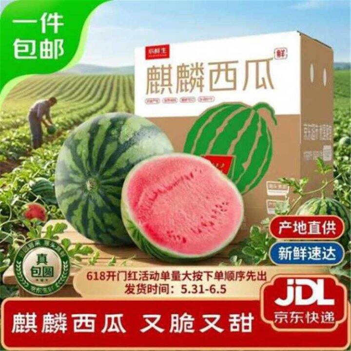 自营麒麟西瓜🍉2.2/斤