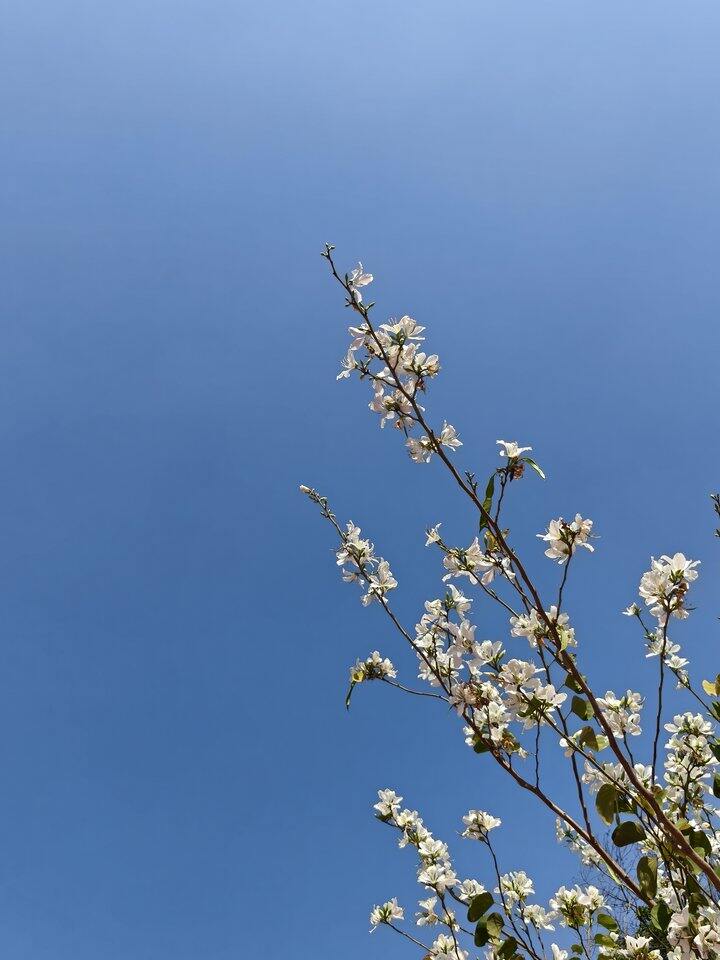 体检很重要，贫血从重转轻