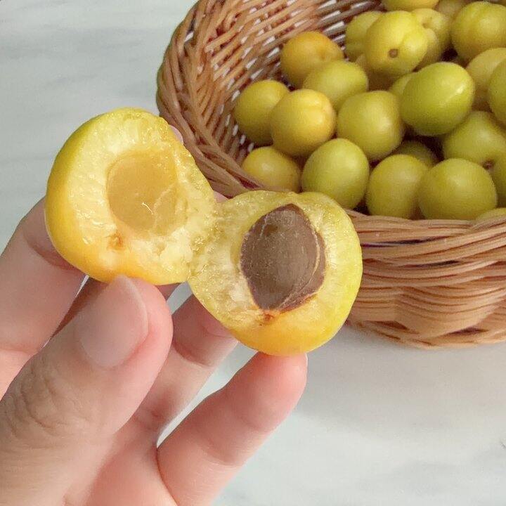 小白杏