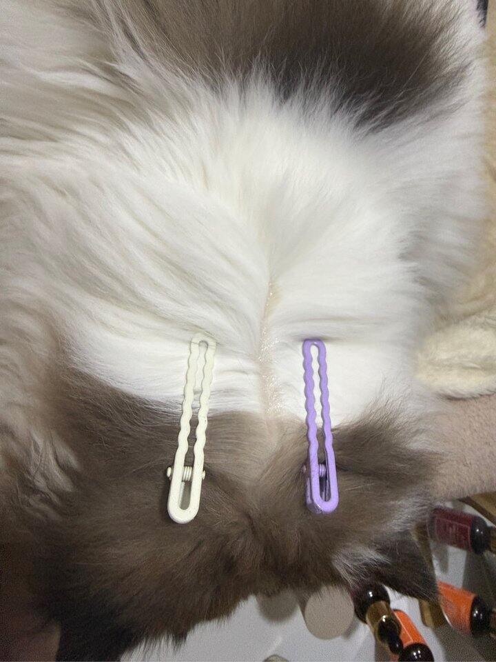 不会有诈吧