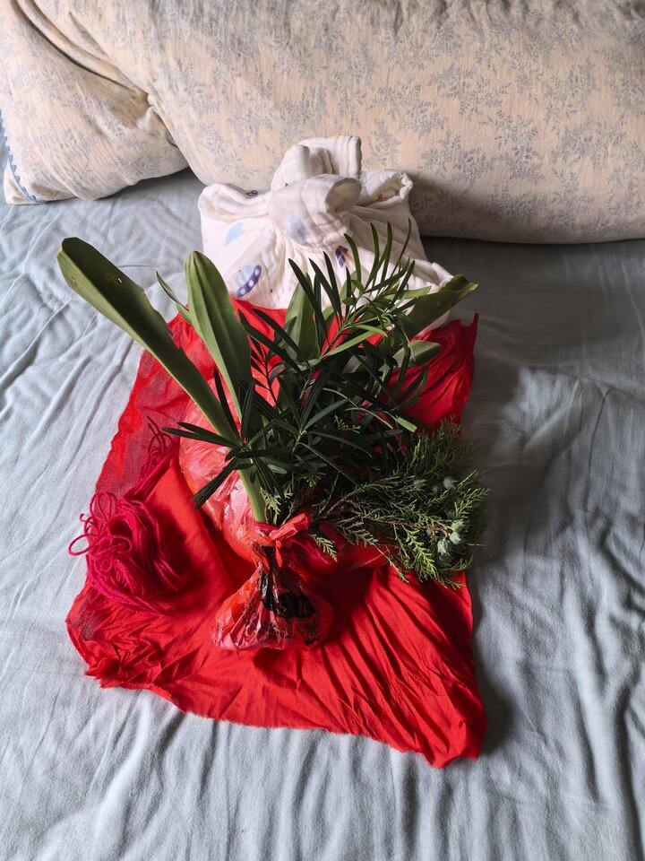 爸妈来催生啦