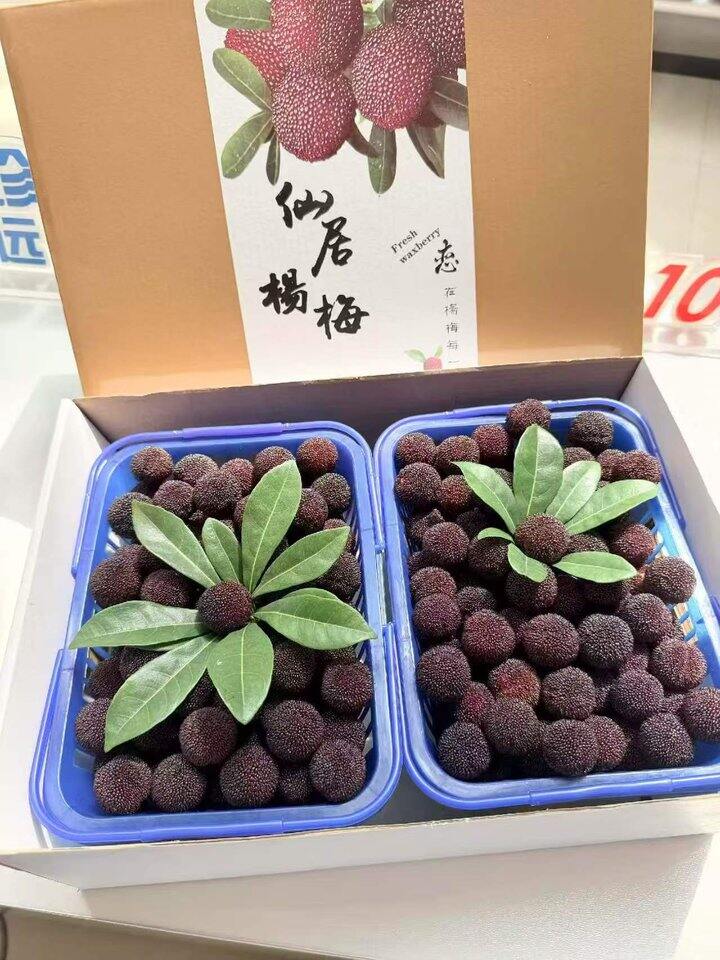 仙居东魁杨梅