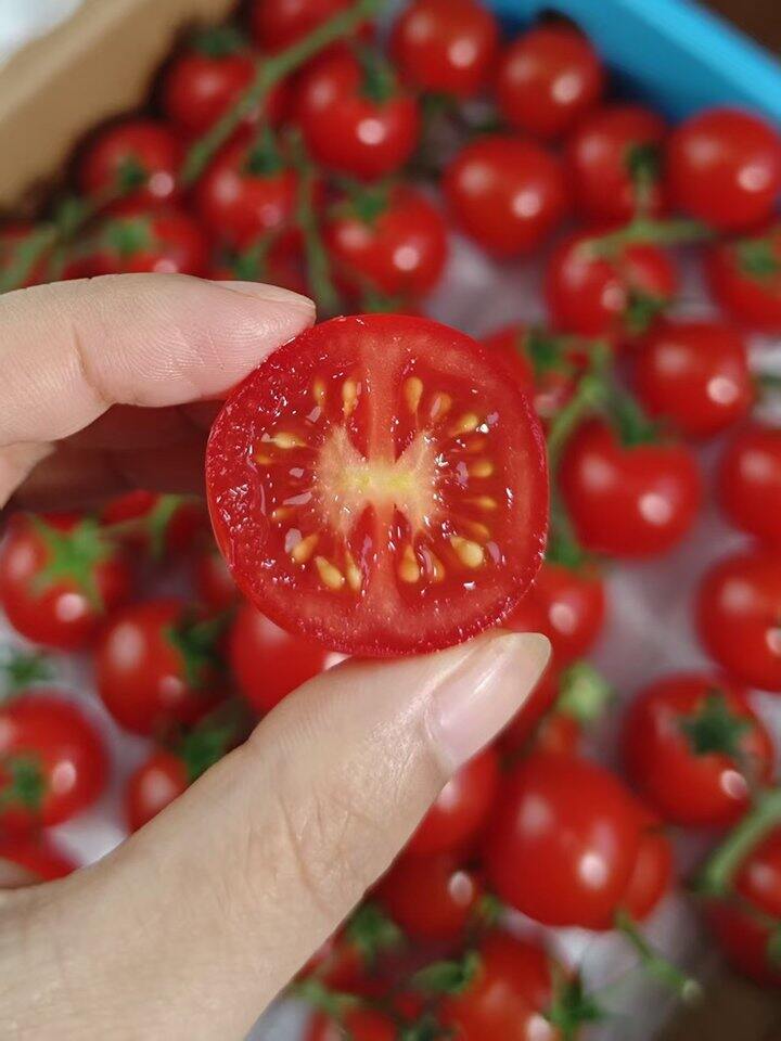 ‼京鲜生一颗大樱桃番茄串