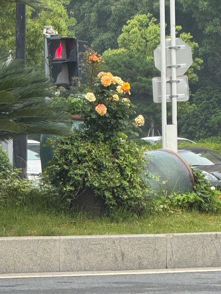 现在有什么稳健型可以放钱的地方吗