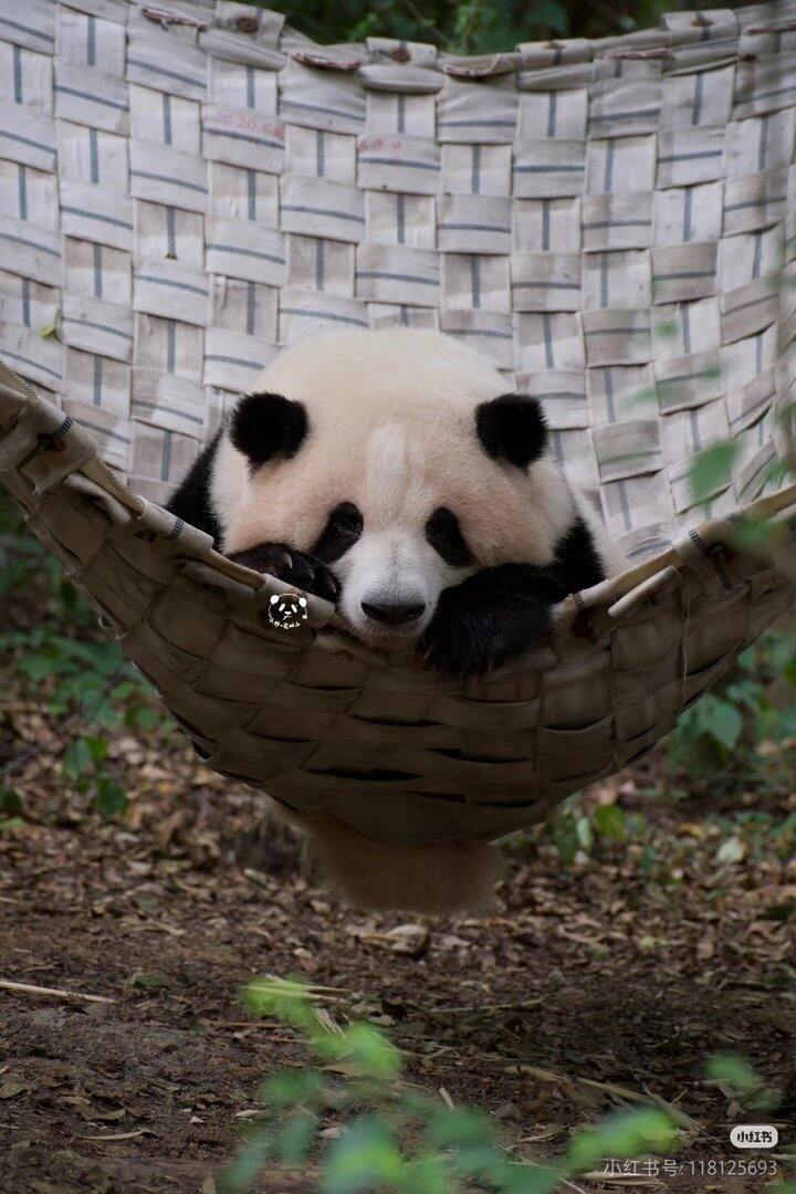 《屁事也疯狂》《疯狂规培生》《哭什么？能治！》
