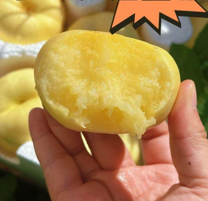 【帝王1号_奶油蟠桃】限量试吃39元/箱