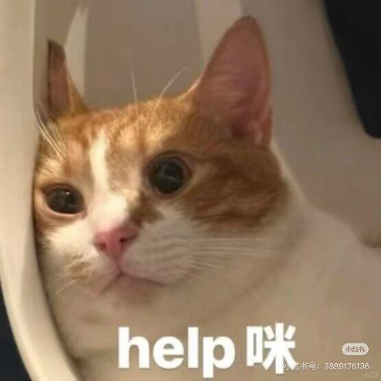 当我想着靠啃老躺平…