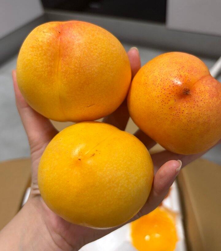 桃子