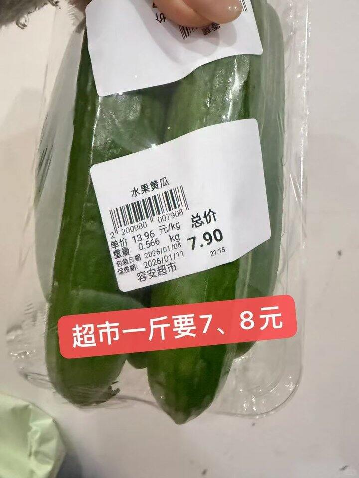 【自营】京鲜生 山东水果黄瓜💰2.9/斤