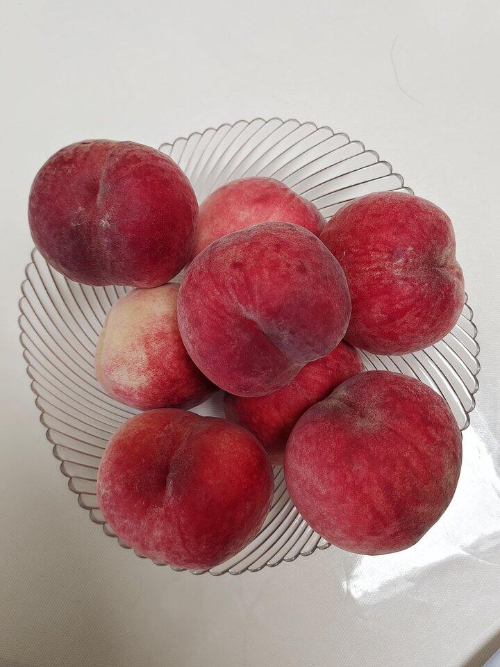 状元红反馈