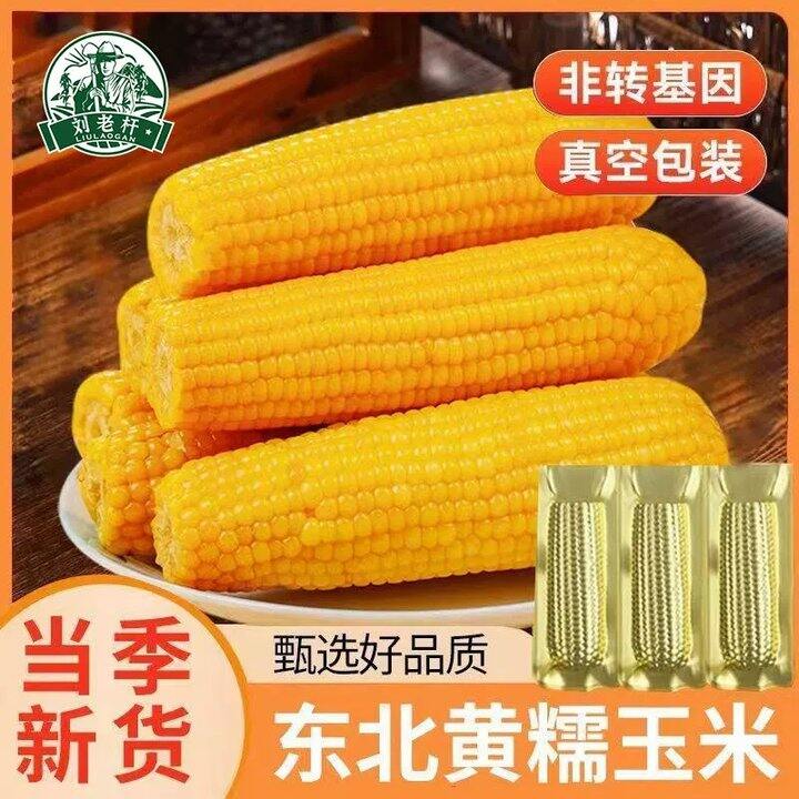 刘老杆东北黄糯玉米8-13根💰16.8