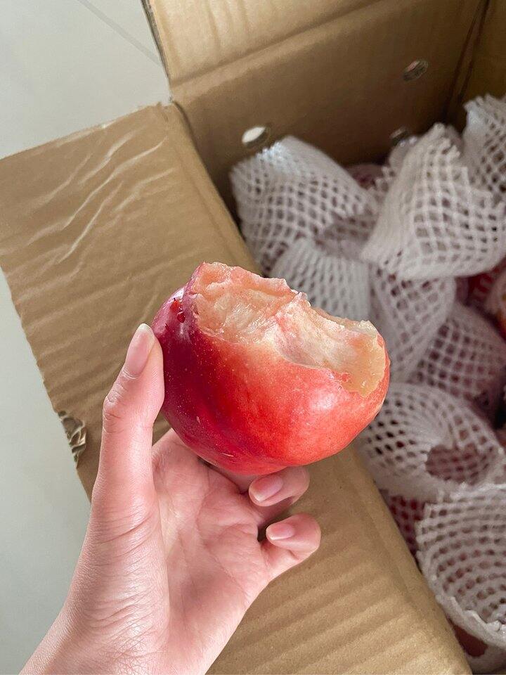 反馈一下这家脆桃