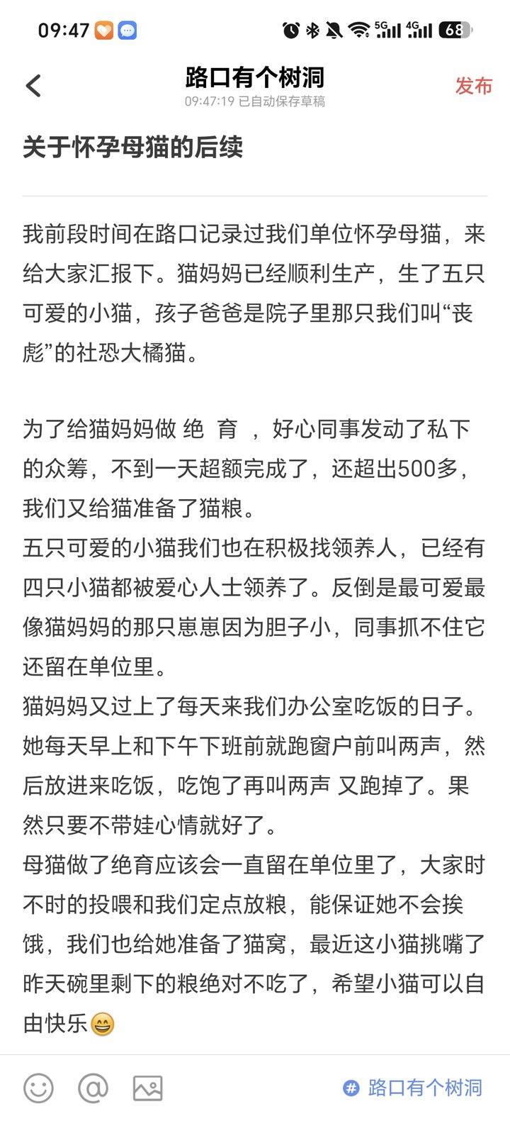 一直违规，关于怀孕母猫后续