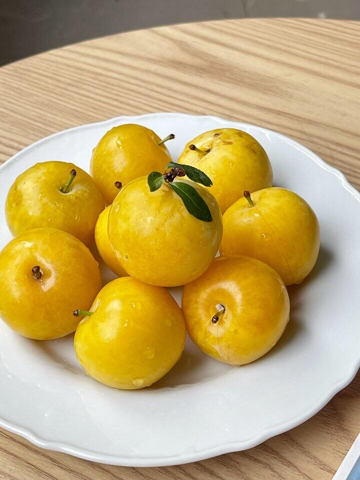 【冰糖桃花李】限量试吃29.9元/箱