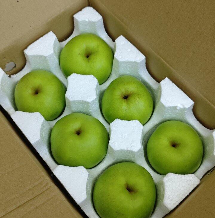 自营砀山青翠梨🍐