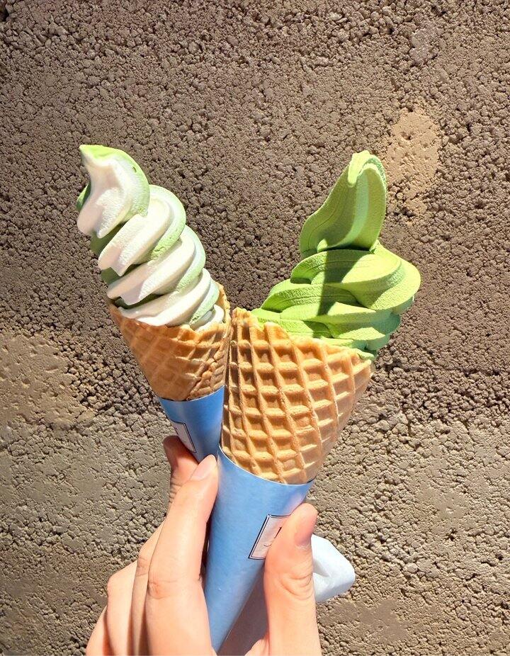 【径山茶🍵】抹茶脑袋