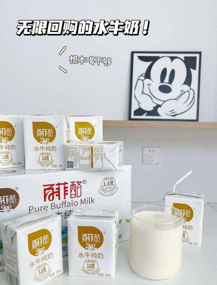 百菲酪 3.8蛋白水牛奶