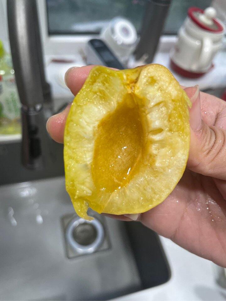 自家种的荷兰香杏