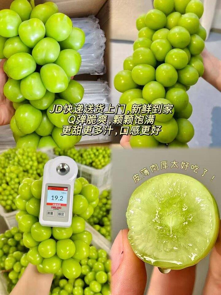 🌟京鲜生云南阳光玫瑰青提