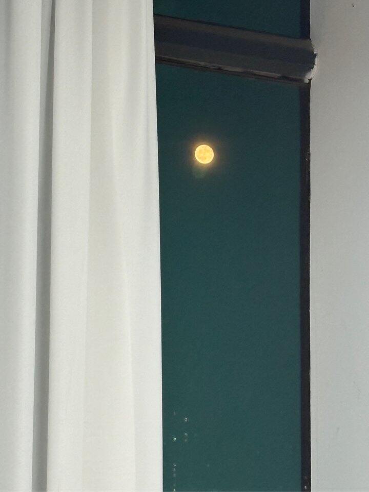 抬头看月亮🌙