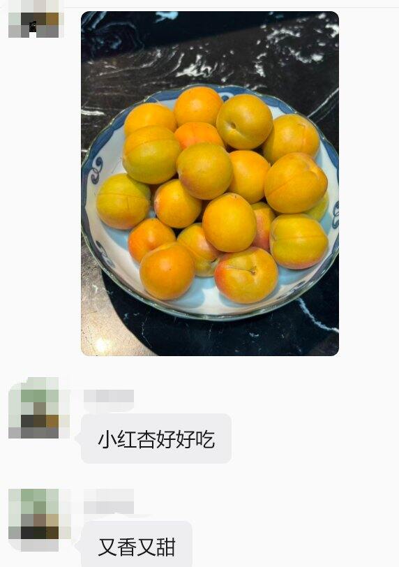 小红杏