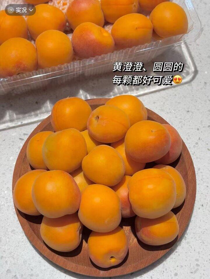 新疆吊干杏