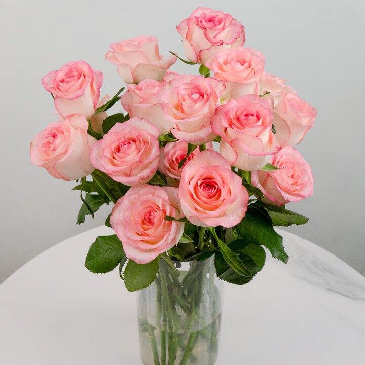 自营玫瑰🌹