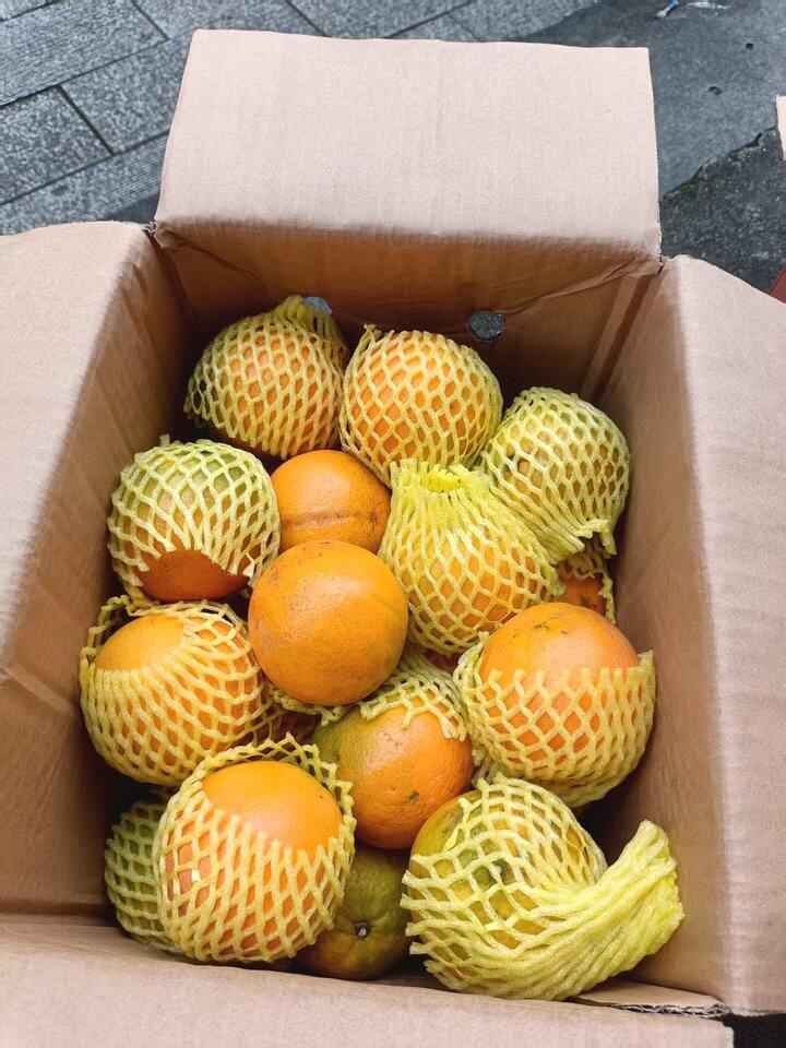 夏橙🍊